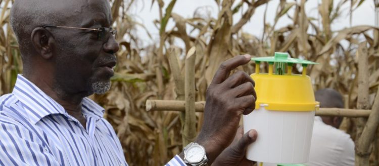 Dr John Bahana, National Consultant for Intergrated Pest Management at FAO Uganda demonstrating use of the pheromone trap.(Photo by David Mafabi)